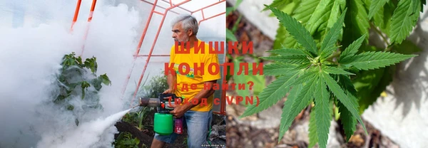 амфетамин Новозыбков