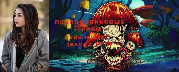 соль ск Новокубанск
