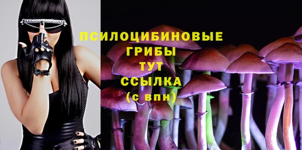 амфетамин Новозыбков