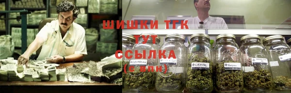 соль ск Новокубанск
