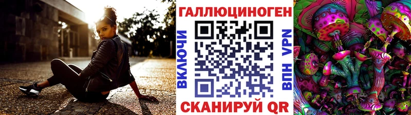 где можно купить наркотик Саяногорск блэк спрут вход Псилоцибиновые грибы Psilocybe