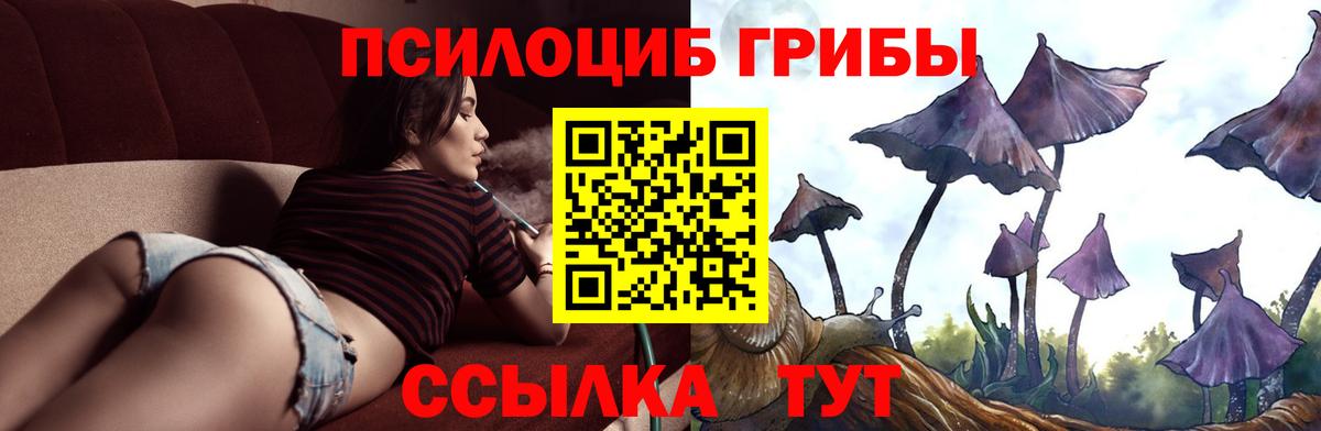 Псилоцибиновые грибы MAGIC MUSHROOMS  Вход с VPN  Саяногорск  Галлюциногенные грибы Magic Shrooms 